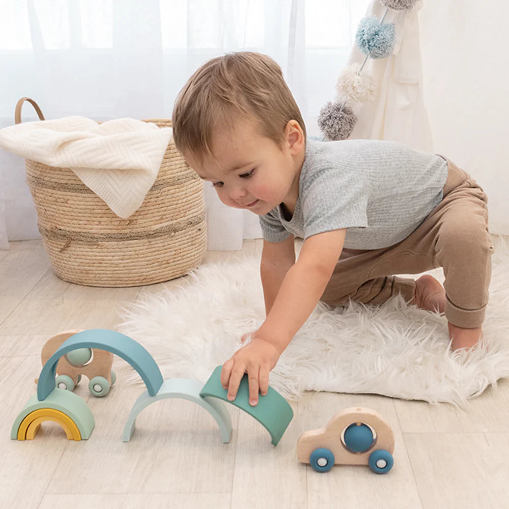 Playground Push A Long - Car