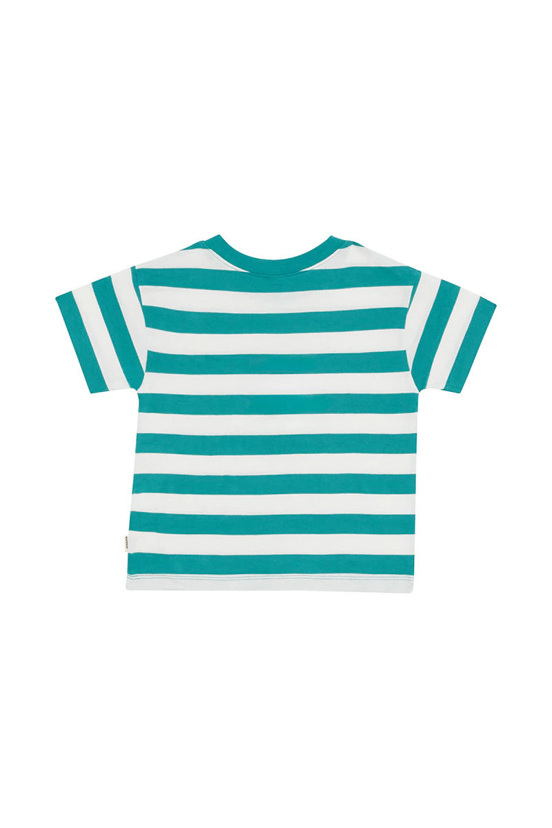 Bonds Kids Short Sleeve Crew Tee - Bonds Rugby Stripe Green