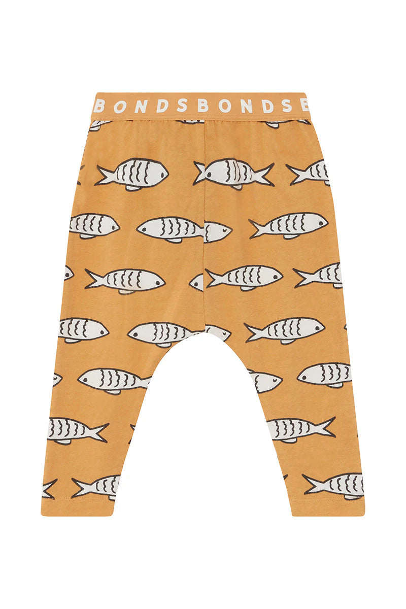 Bonds Roomies Pant - Coastal Catch Orange