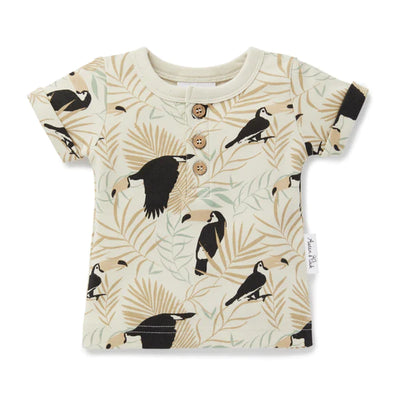 Aster & Oak Organic Toucan Henley Tee - Dove